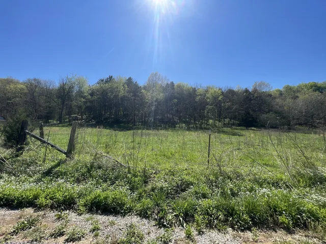 $249,900 | 59 Scanty Branch Road, Dixon Springs, TN 37057