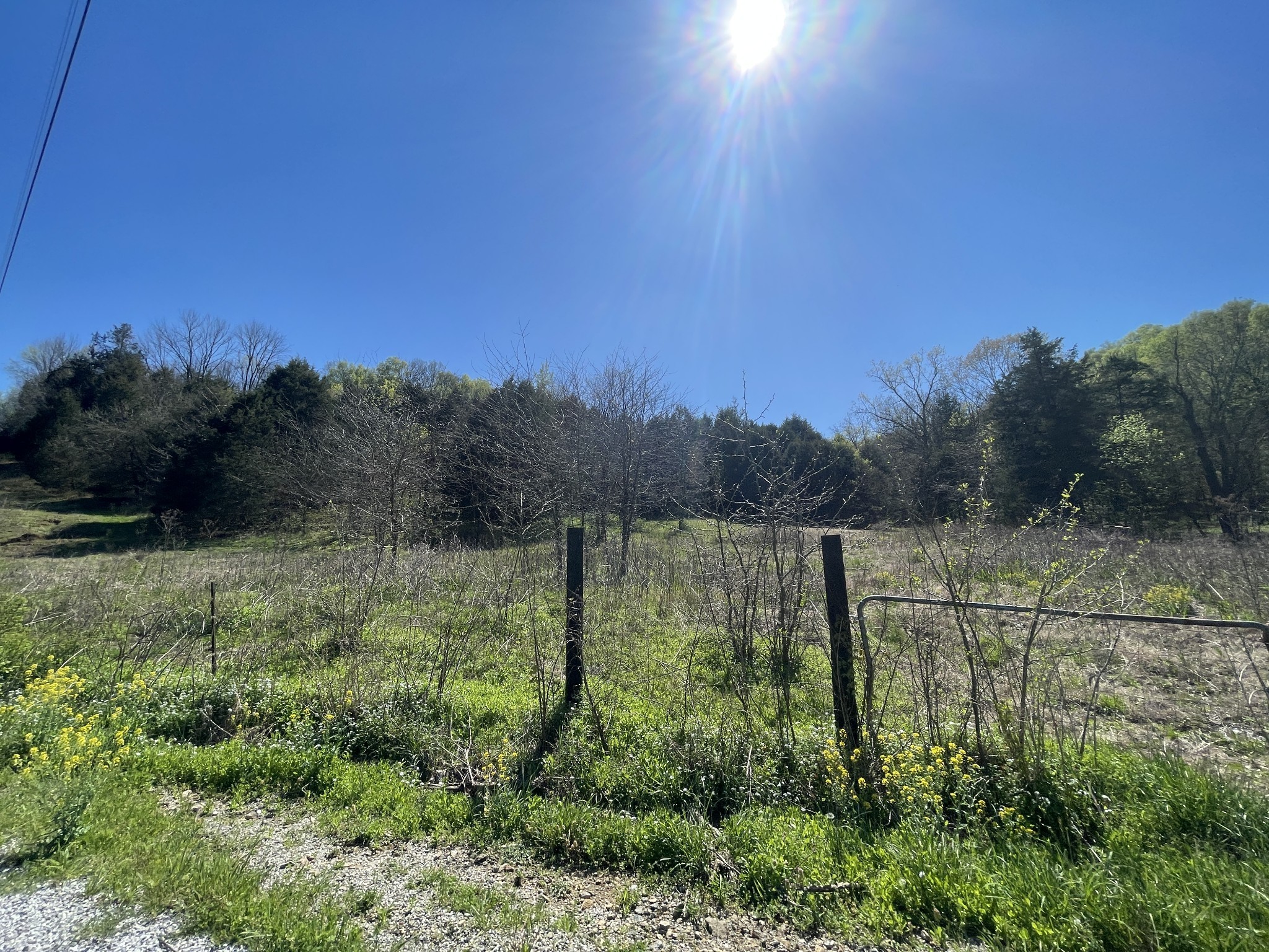 59 Scanty Branch Road Dixon Springs, TN 37057 - Photo 14 of 21