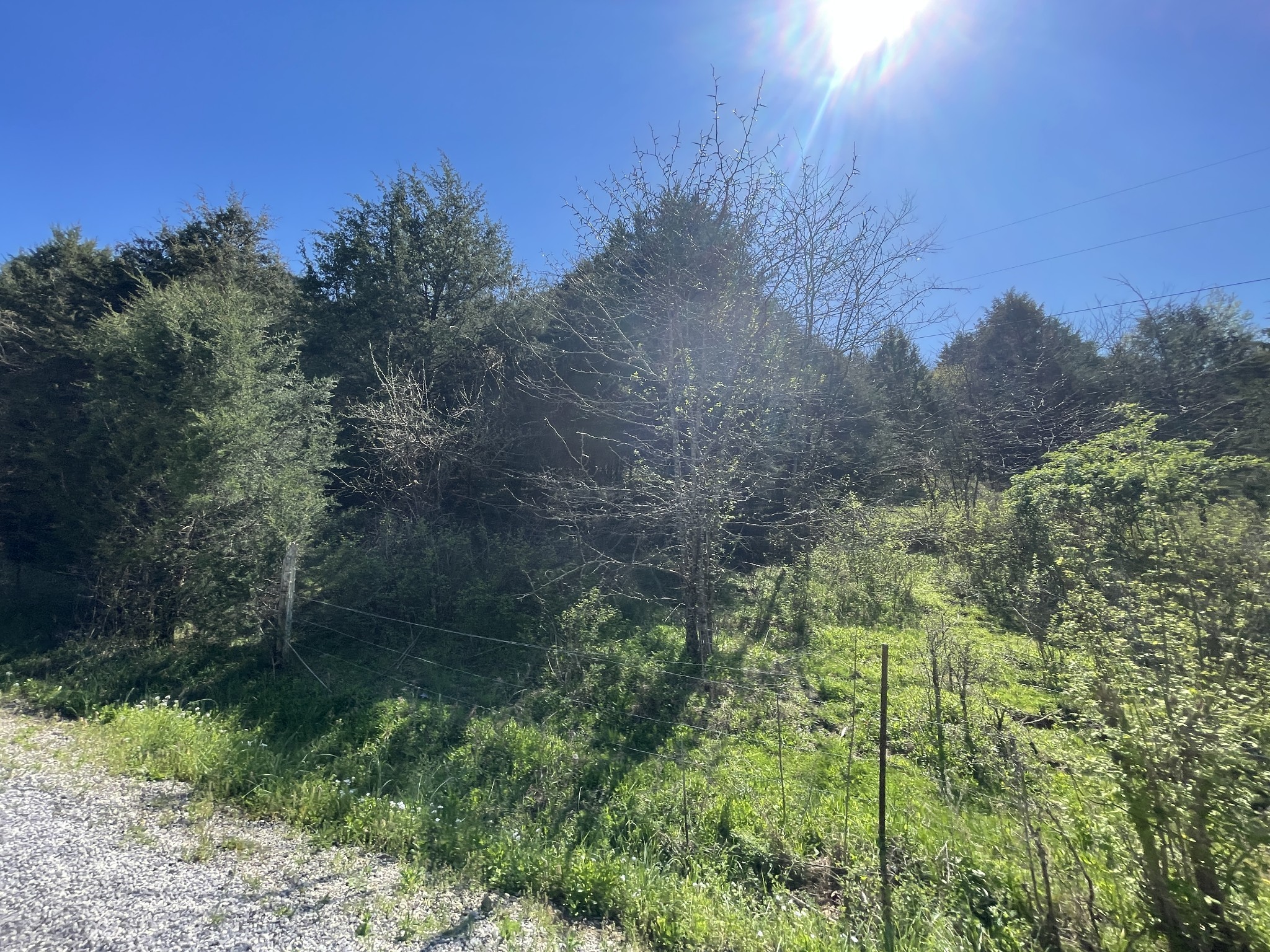 59 Scanty Branch Road Dixon Springs, TN 37057 - Photo 16 of 21