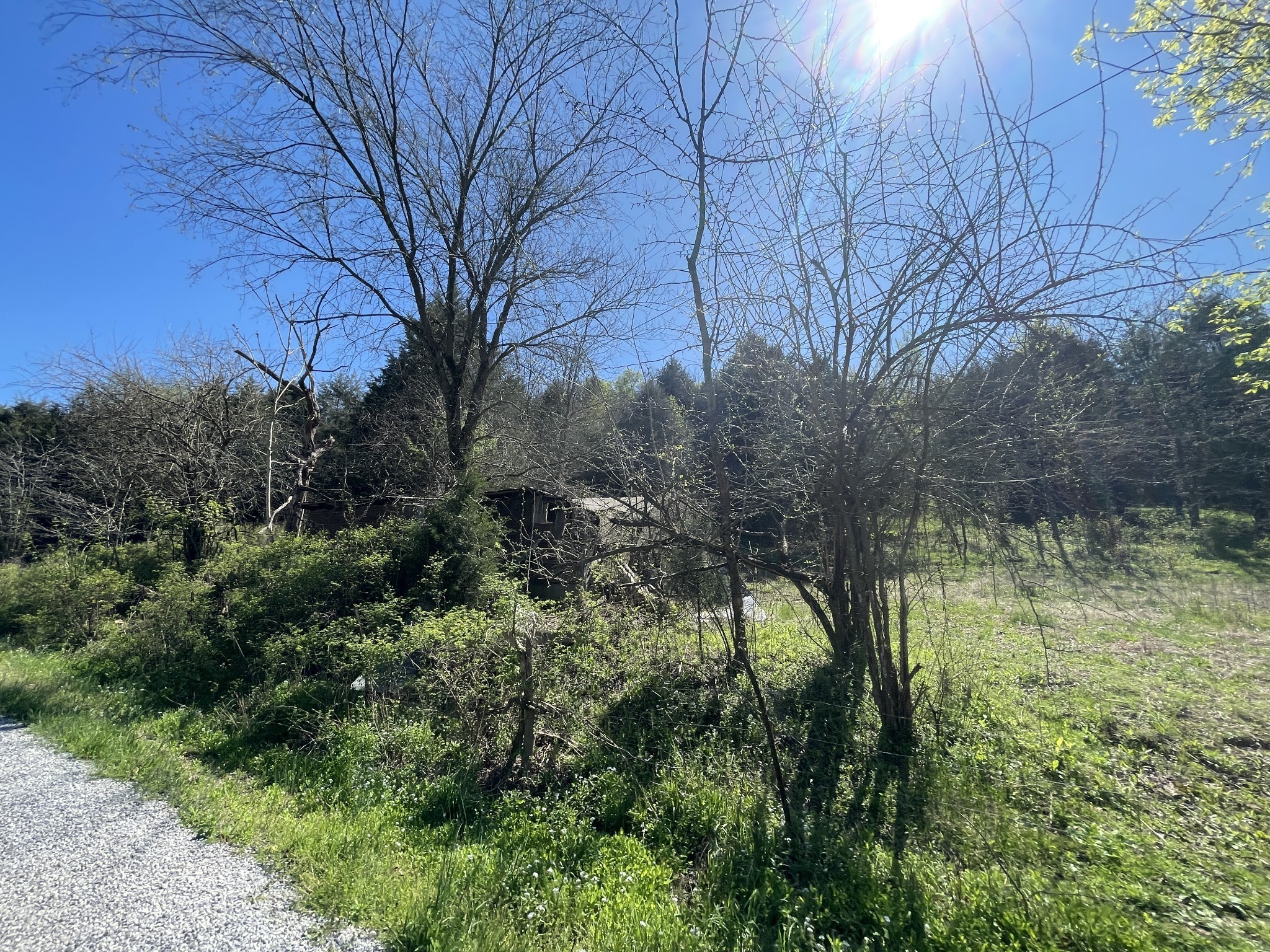 59 Scanty Branch Road Dixon Springs, TN 37057 - Photo 17 of 21