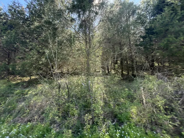 $249,900 | 59 Scanty Branch Road, Dixon Springs, TN 37057