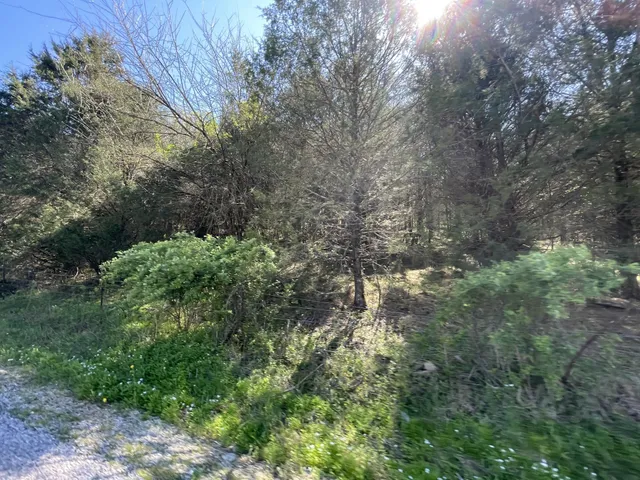 $249,900 | 59 Scanty Branch Road, Dixon Springs, TN 37057