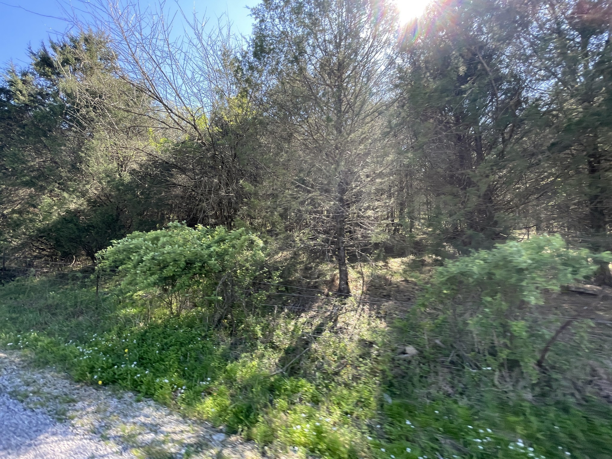 59 Scanty Branch Road Dixon Springs, TN 37057 - Photo 19 of 21