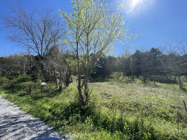 $249,900 | 59 Scanty Branch Road, Dixon Springs, TN 37057