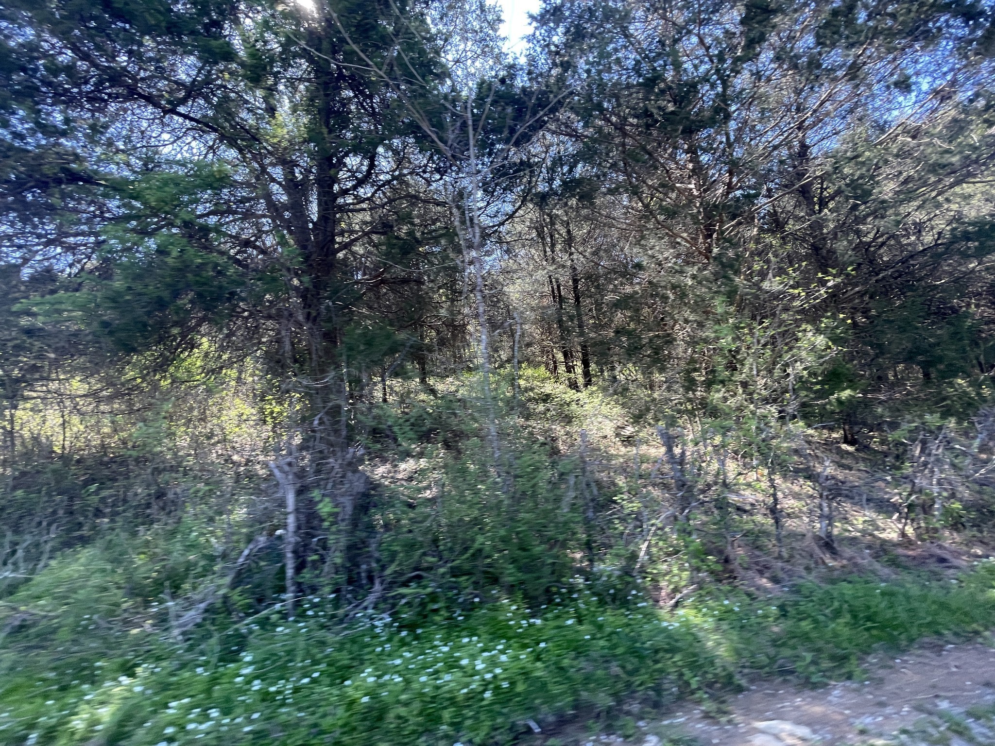 59 Scanty Branch Road Dixon Springs, TN 37057 - Photo 21 of 21