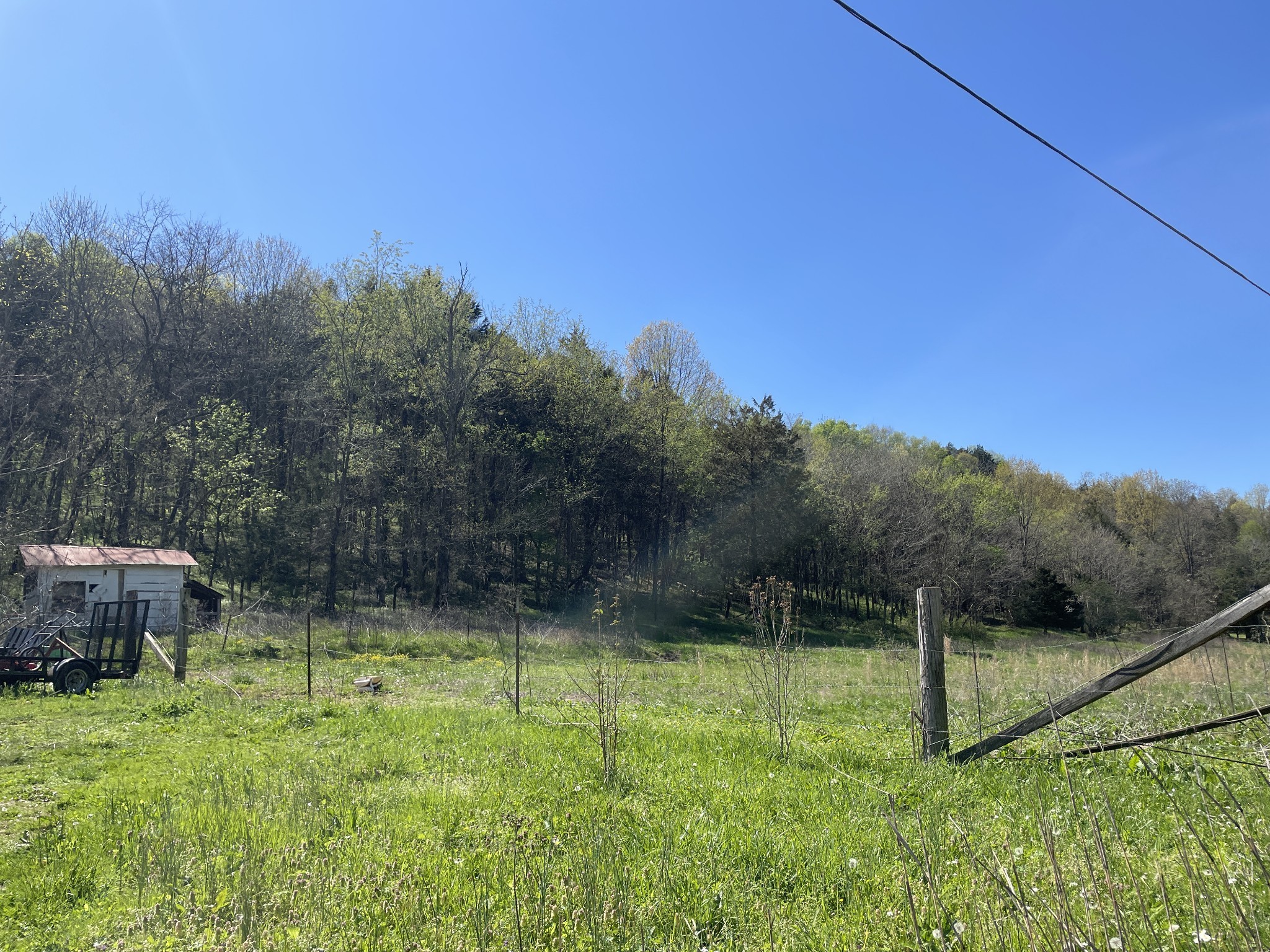 59 Scanty Branch Road Dixon Springs, TN 37057 - Photo 8 of 21