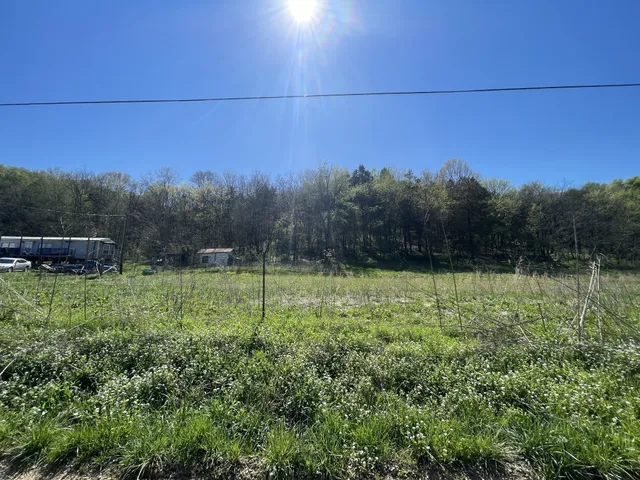 $249,900 | 59 Scanty Branch Road, Dixon Springs, TN 37057