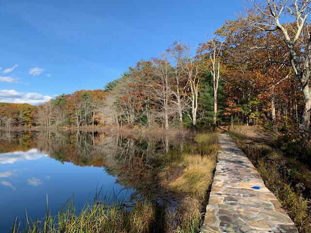 38 Pine Mountain Road Cape Neddick, ME 03902 - Photo 43 of 45 Lake Caroline wall