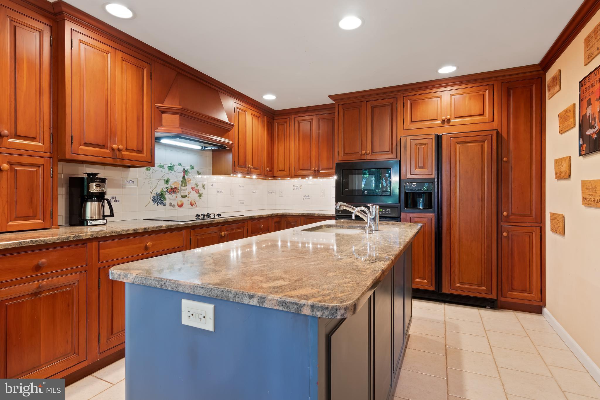 466 Upper Gulph Road Wayne, PA 19087 - Photo 3 of 29 Gourmet kitchen