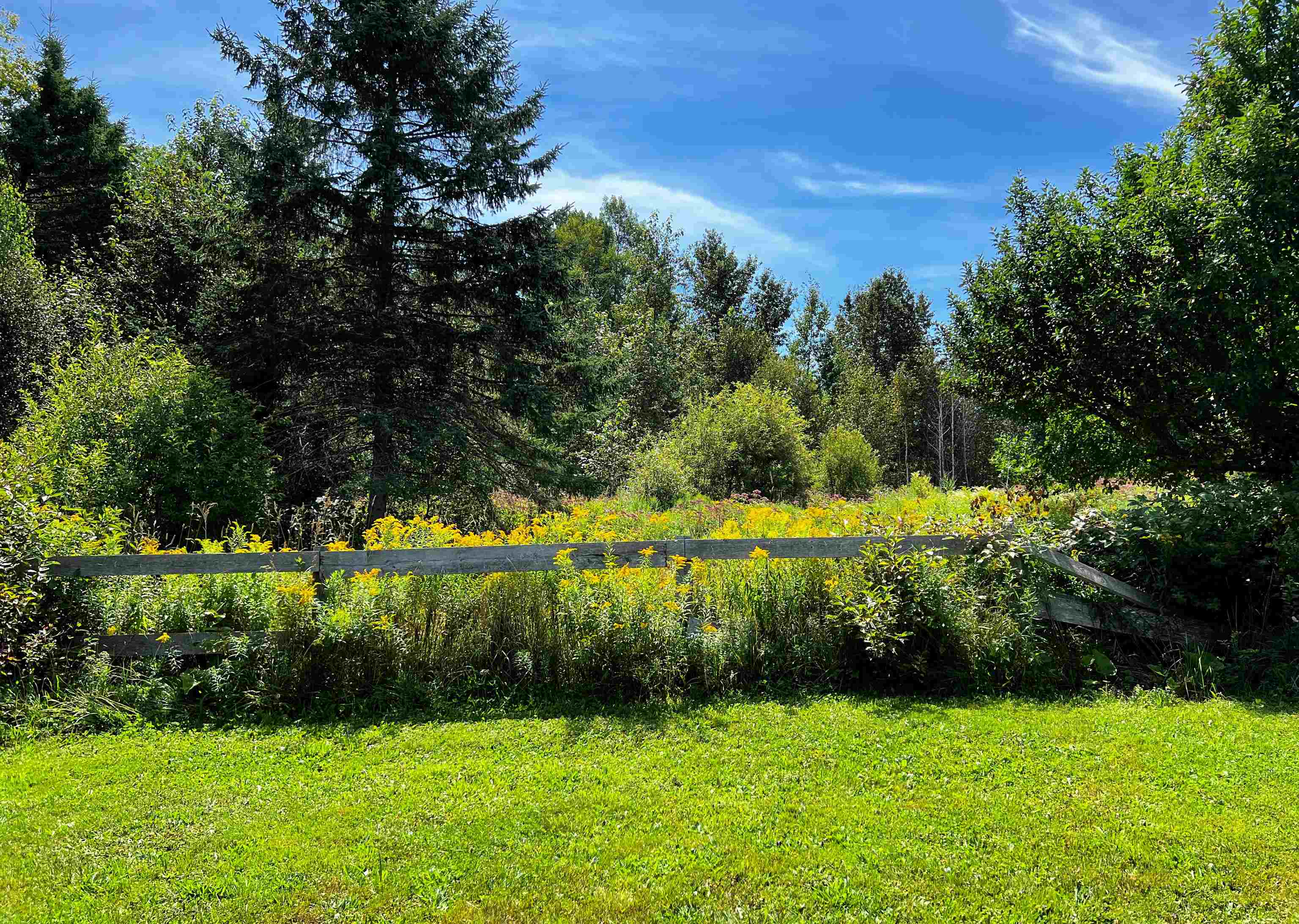 2711 Cabot Plains Road Cabot, VT 05647 - Photo 33 of 39