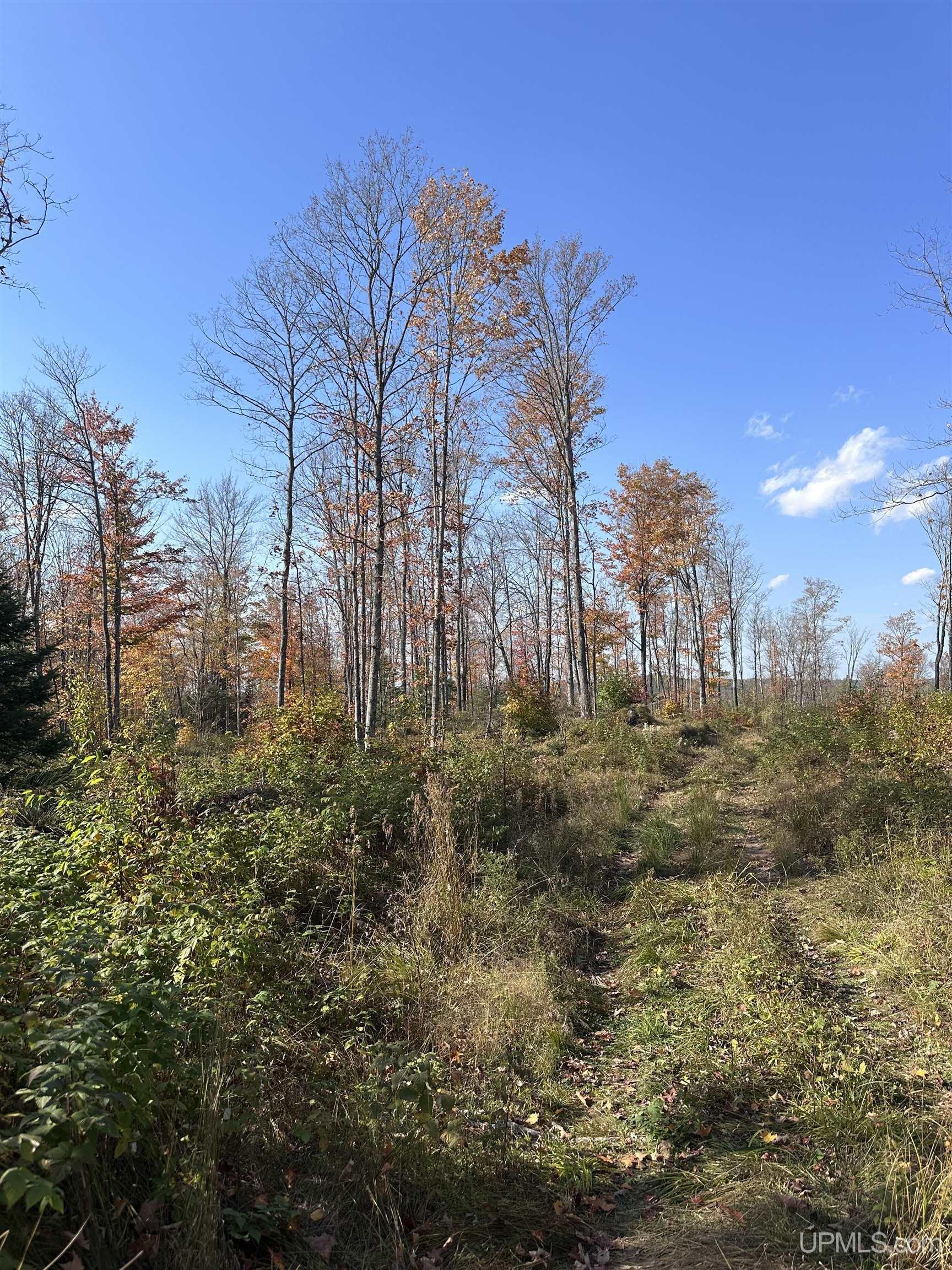 Tbd Co Rd 496 (b) Road, Unit PARCEL B Champion, MI 49814 - Photo 23 of 33