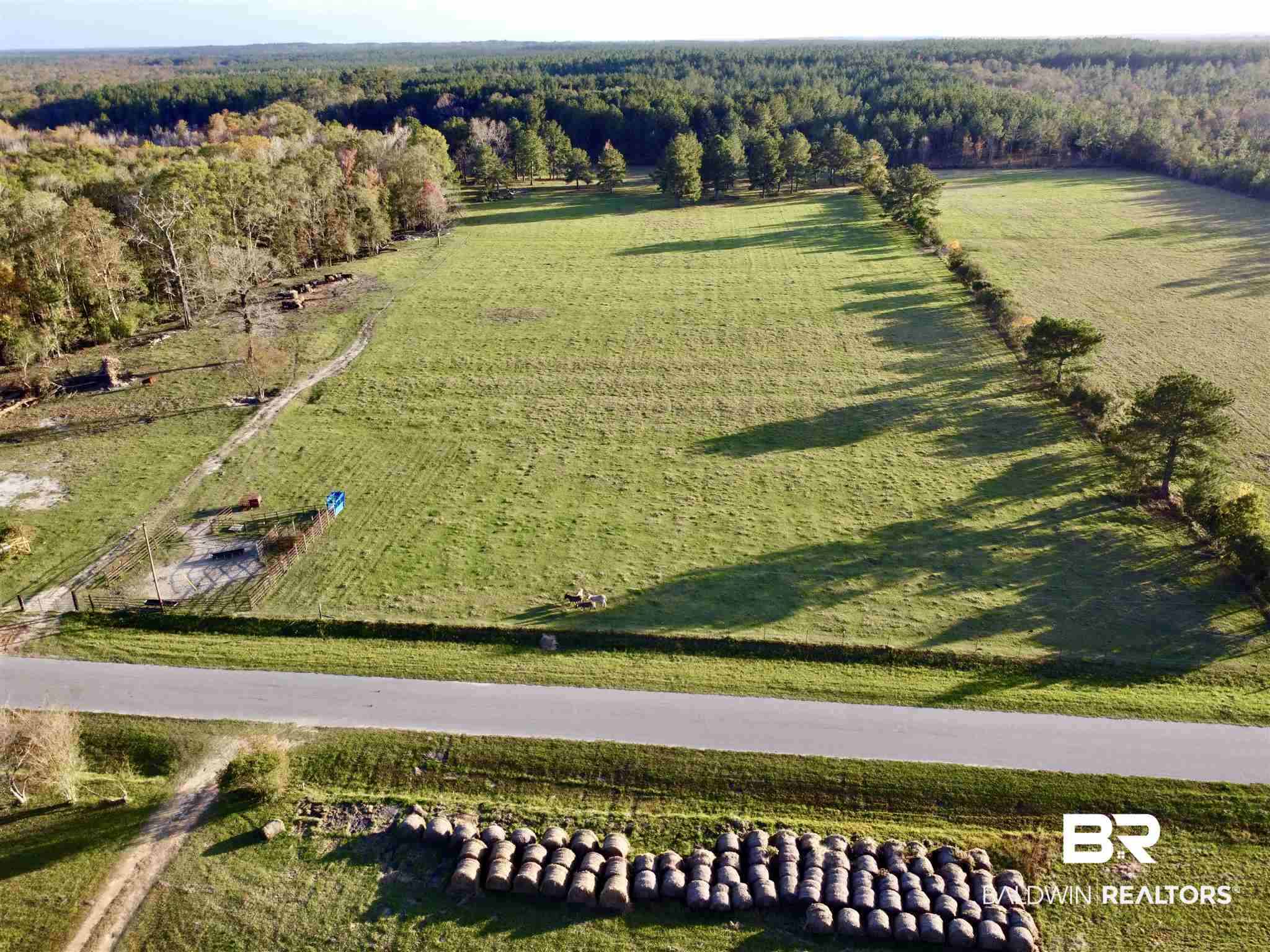 0 Country Road Fruitdale, AL 36539 - Photo 1 of 47