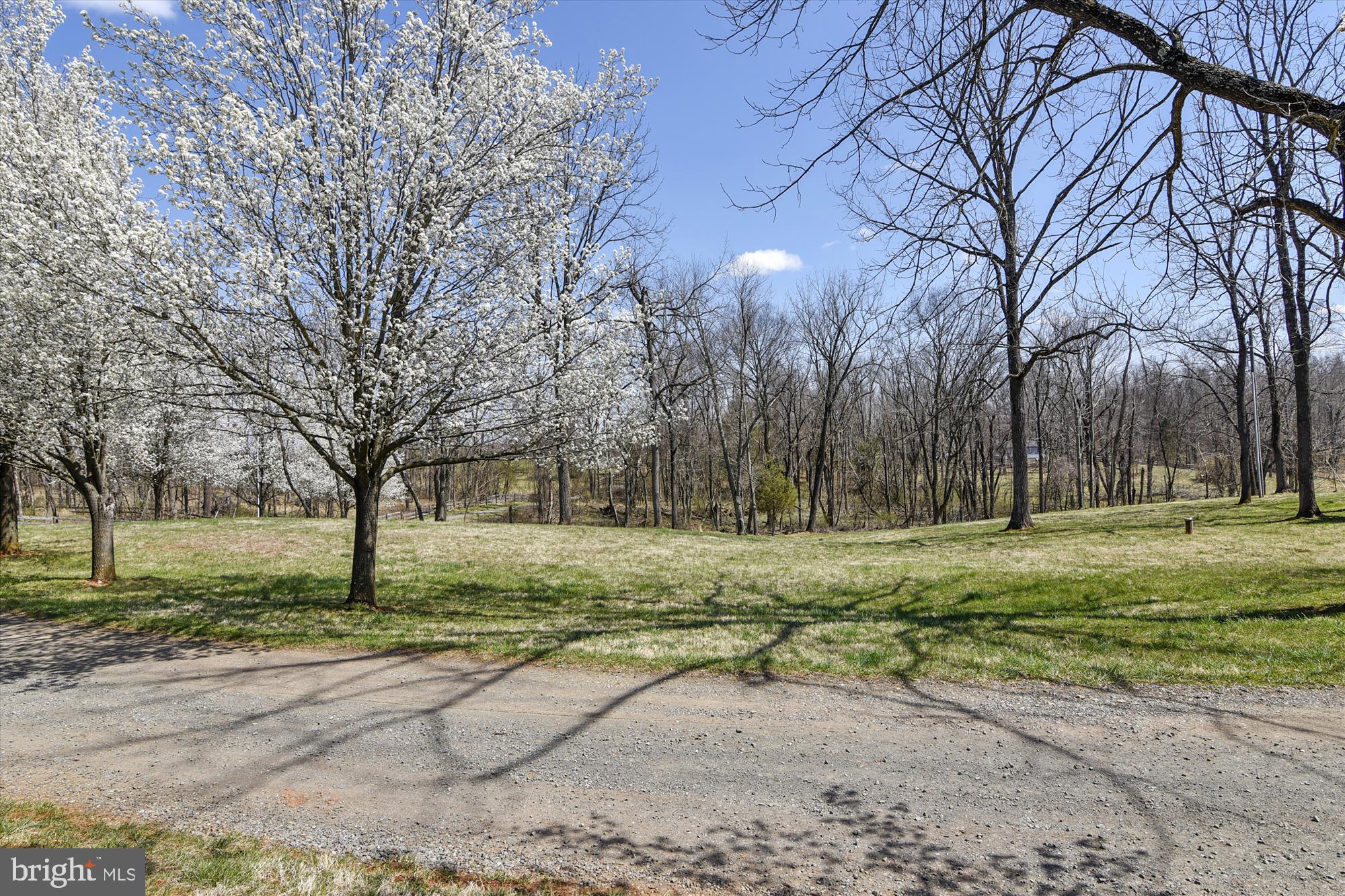 23137 Tail Race Road Aldie, VA 20105 - Photo 80 of 102 Gallery Image 80