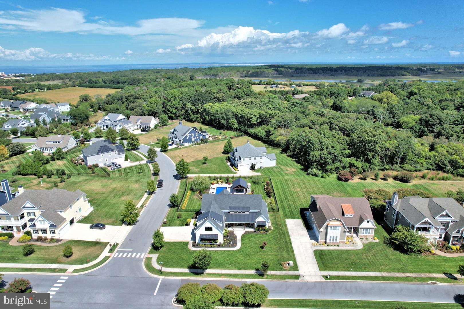 30921 Stallion Lane Lewes, DE 19958 - Photo 54 of 65 a view of a city from a terrace