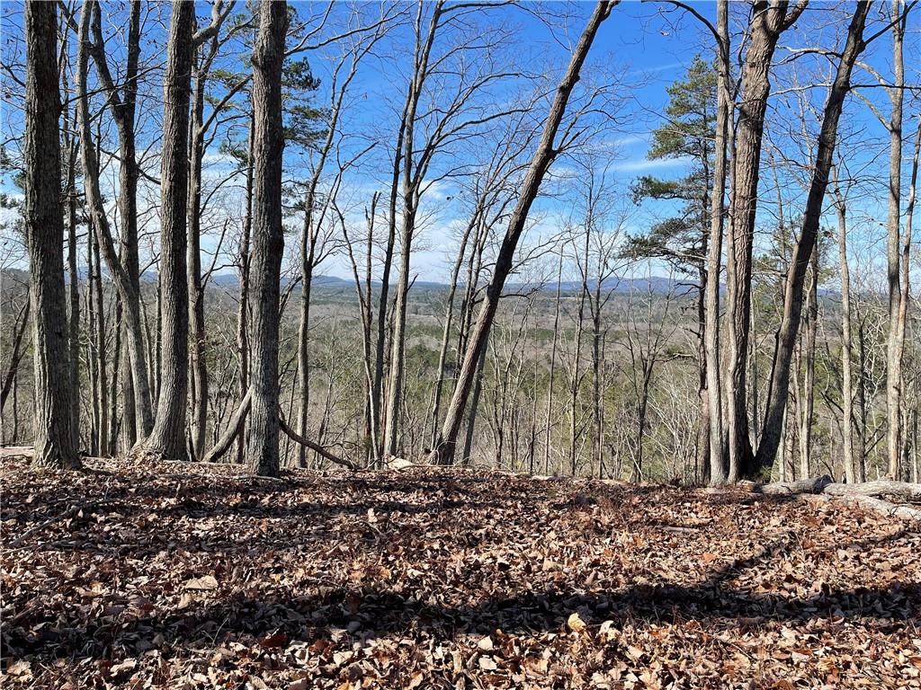 A Johnson Lake Road, Unit 0A Cedartown, GA 30125 - Photo 13 of 19 a view of a backyard