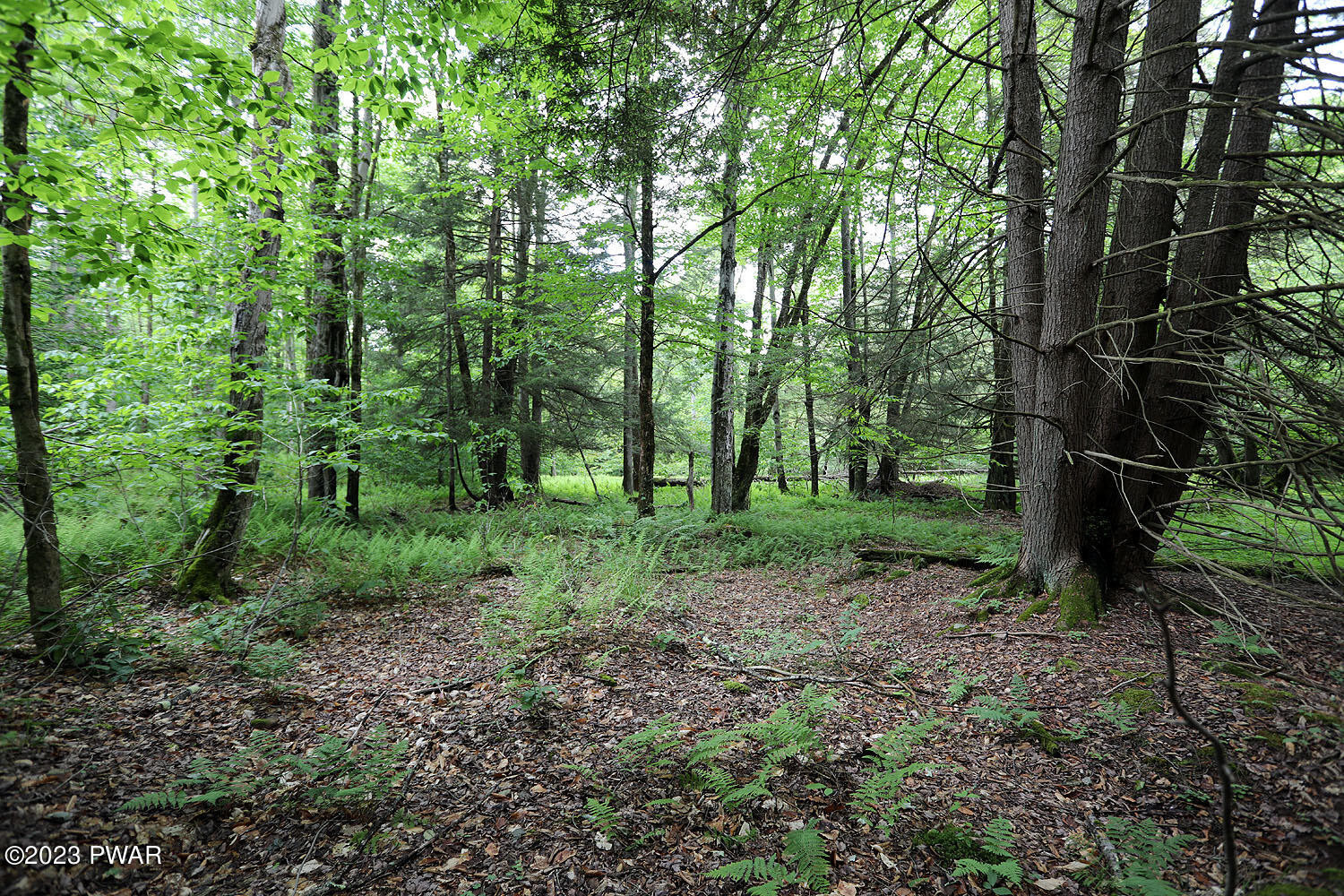 Lot D Spry Road Honesdale, PA 18431 - Photo 24 of 26
