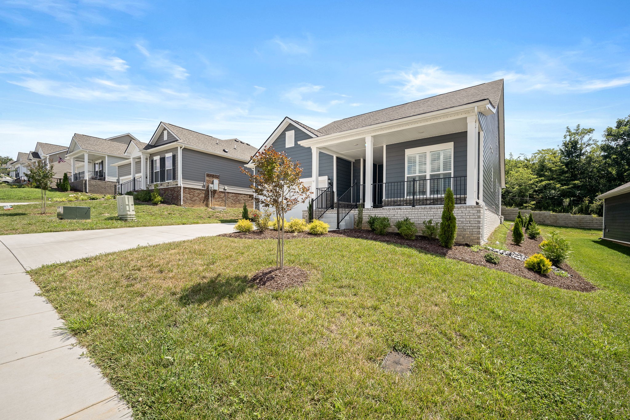 3250 Hearth Hollow Road Columbia, TN 38401 - Photo 36 of 36 a view of a house with a big yard and potted plants