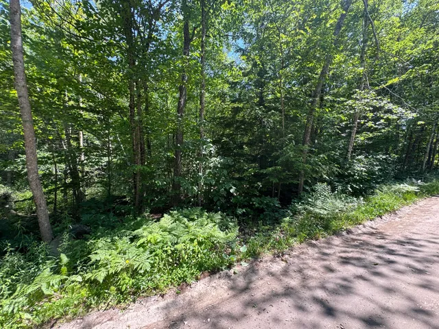 $140,000 | Lot 19 Thomas Pond Shore Road, Casco, ME 04015
