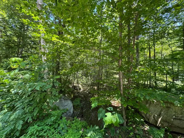 $140,000 | Lot 19 Thomas Pond Shore Road, Casco, ME 04015