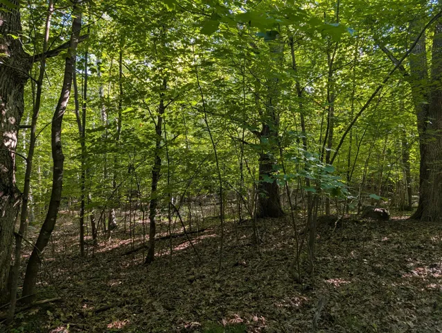 $743,700 | Tbd Tbd 40th, Clayton, WI 54004