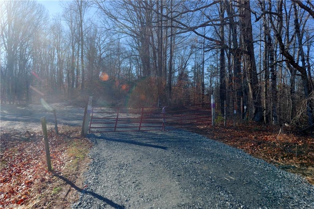 2 Roby Fulk Road Pinnacle, NC 27043 - Photo 2 of 24