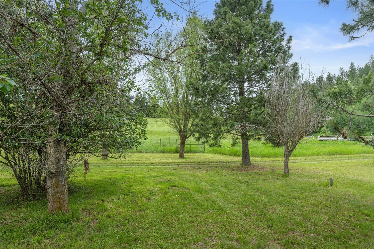 2228 Marble Valley-Basin Road Addy, WA 99101 - Photo 16 of 50