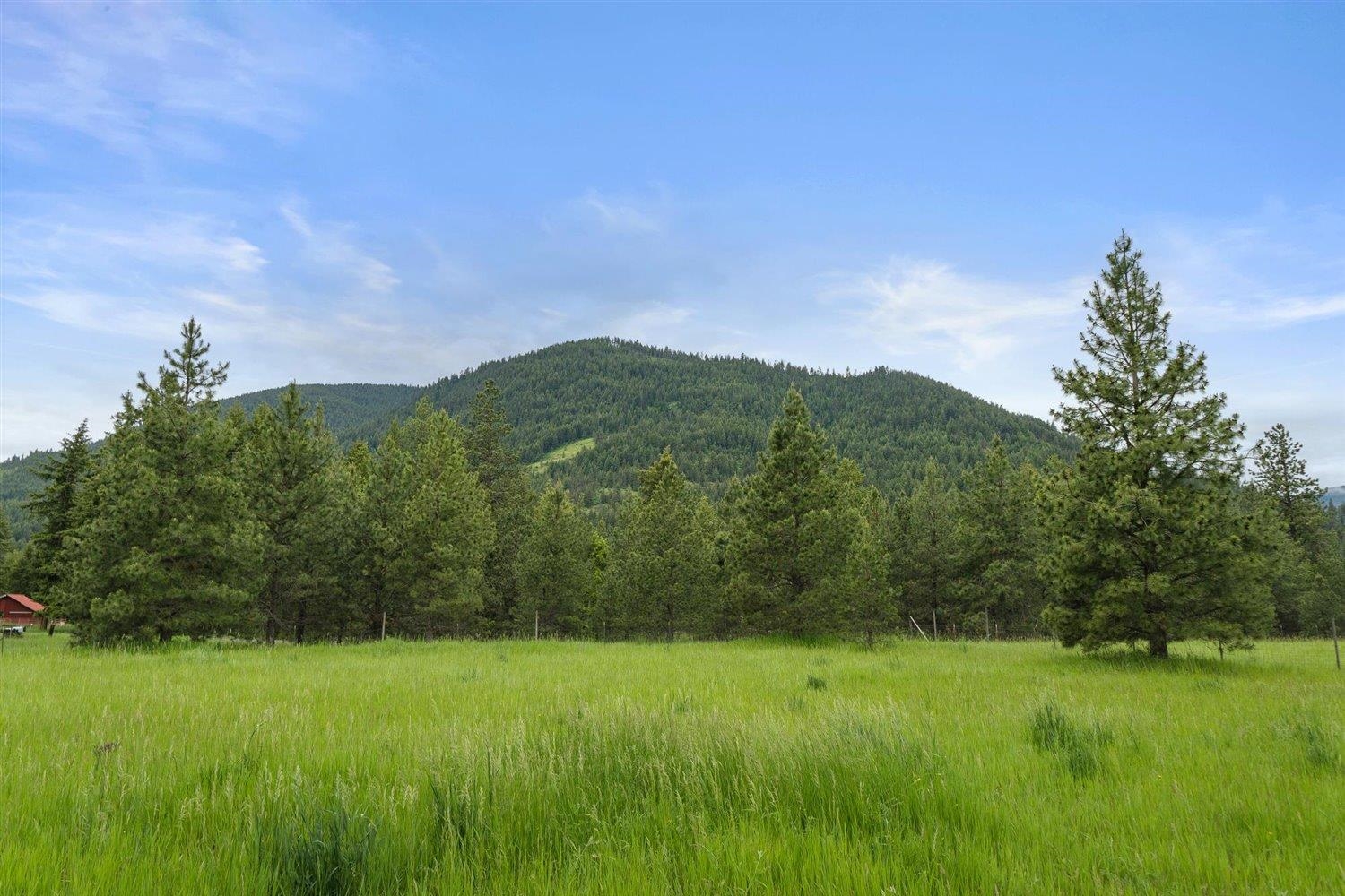 2228 Marble Valley-Basin Road Addy, WA 99101 - Photo 20 of 50
