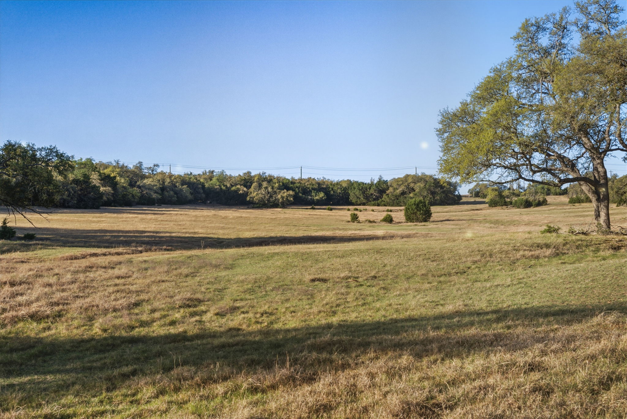 7890 Highway 290 Dripping Springs, TX 78620 - Photo 15 of 33 View of green lawn featuring a rural view
