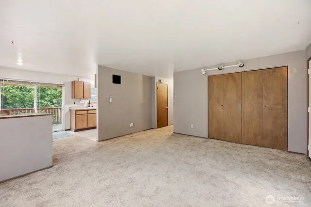 a view of a big room with windows and closet