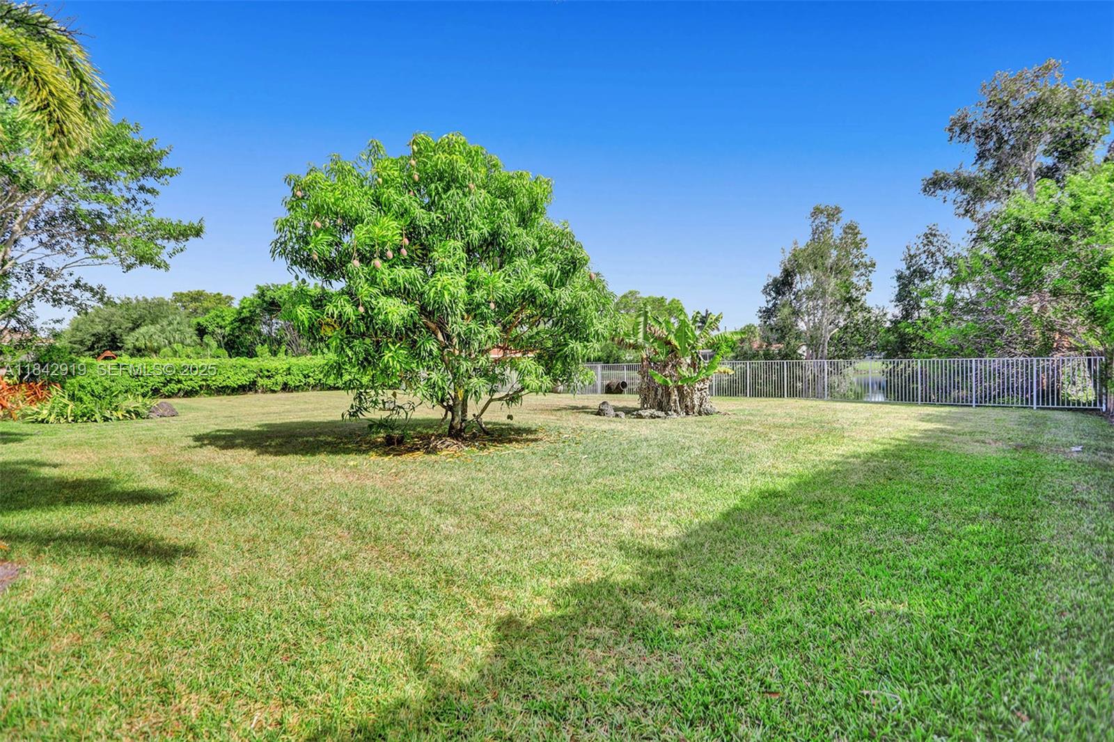 721 Ranch Road Weston, FL 33326 - Photo 17 of 38 a view of backyard with green space