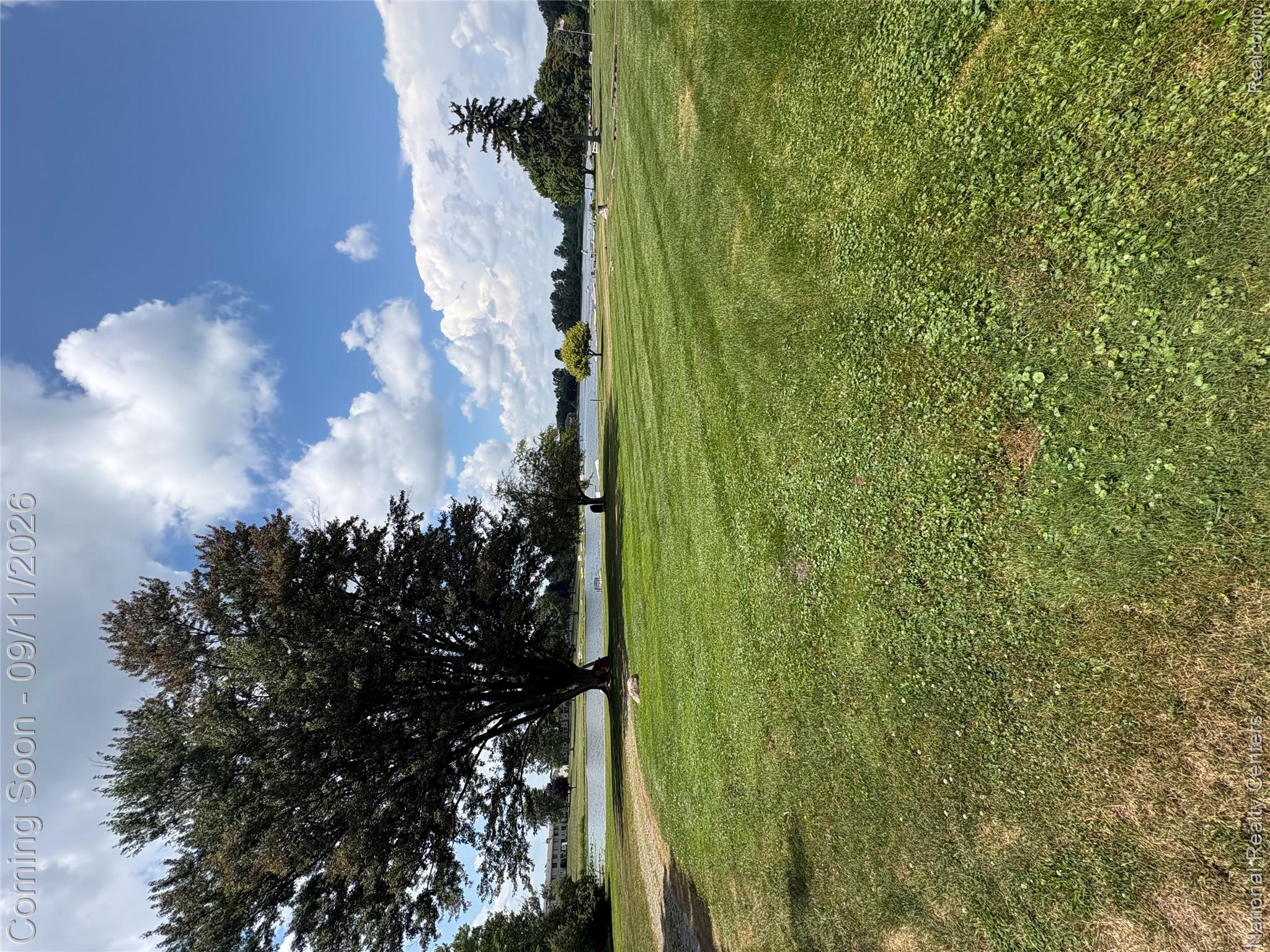 26945 Milford Road, Unit 3 New Hudson, MI 48165 - Photo 19 of 27 Expansive greenspace featuring a large mature tree, additional scattered trees, and a visible body of water