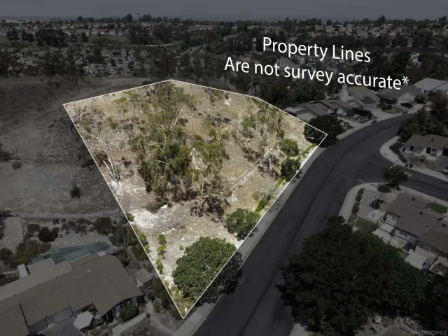 a view of a yard with plants