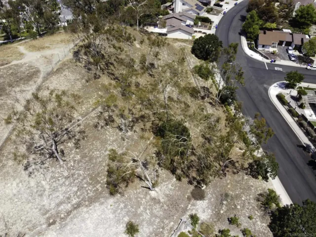 a view of a yard with trees