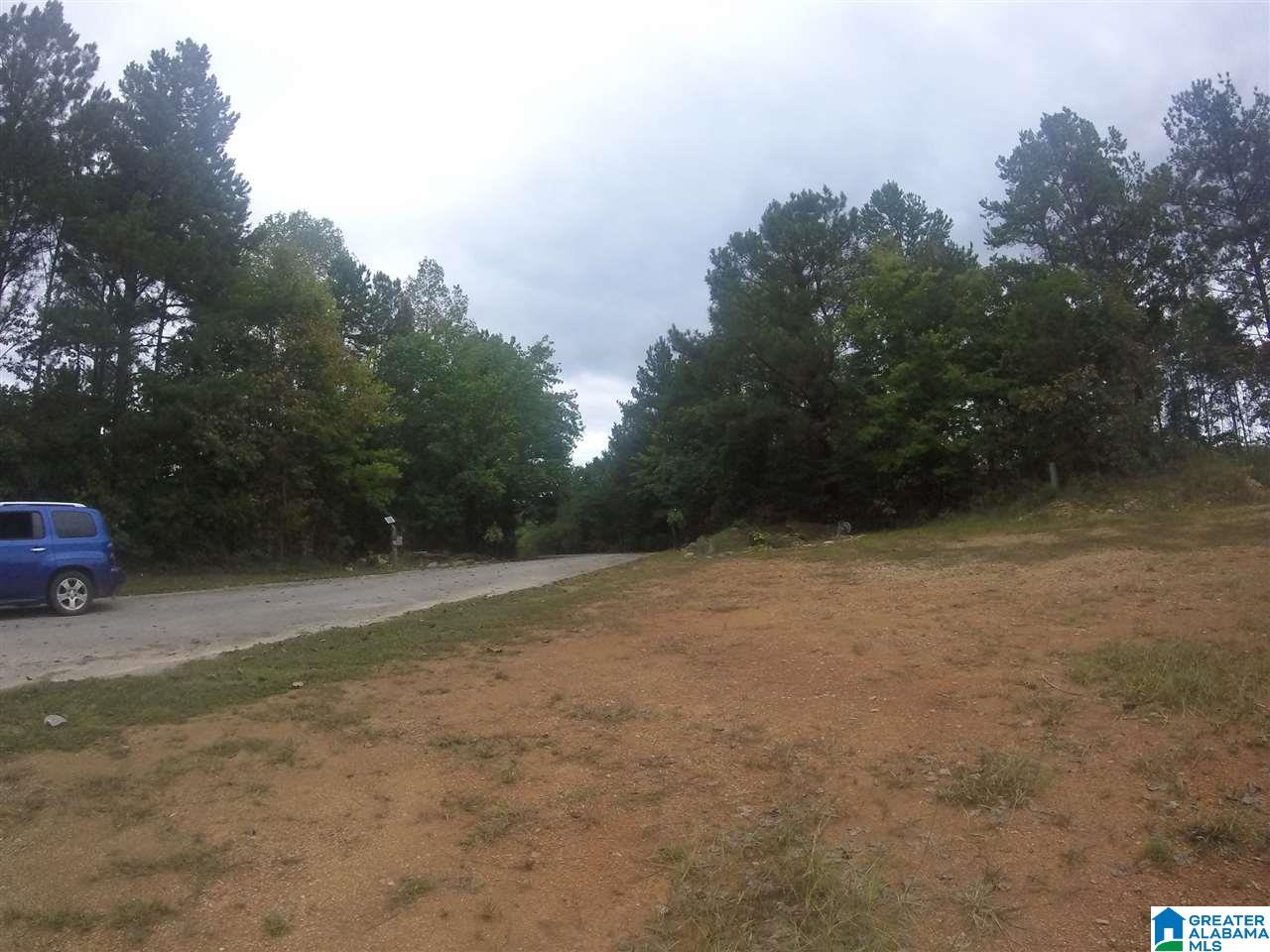 919 County Road, Unit 63 Clanton, AL 35046 - Photo 16 of 16 Gallery Image 16