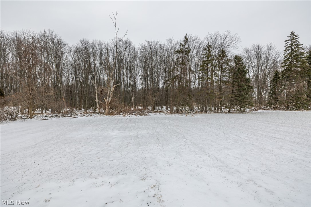 18662 Drake Road Strongsville, OH 44136 - Photo 33 of 34 Gallery Image 33