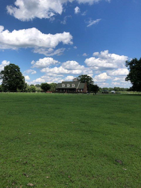 390 McElmurray Farm Road Jackson, SC 29831 - Photo 10 of 29