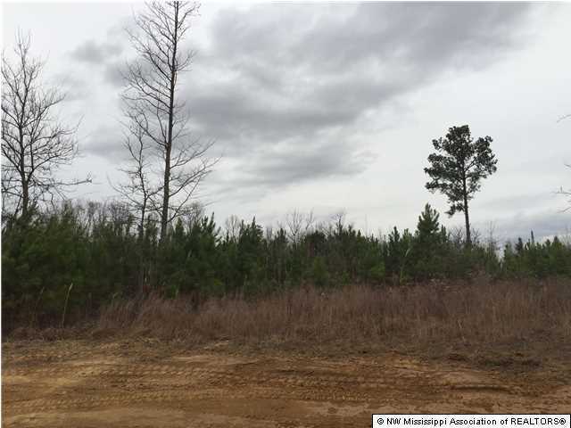 7180 Yellow Dog Road Senatobia, MS 38668 - Photo 11 of 11 Additional Photo