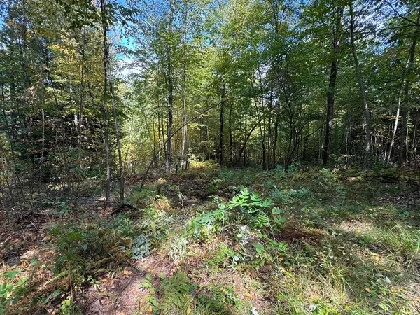a view of outdoor space and green space