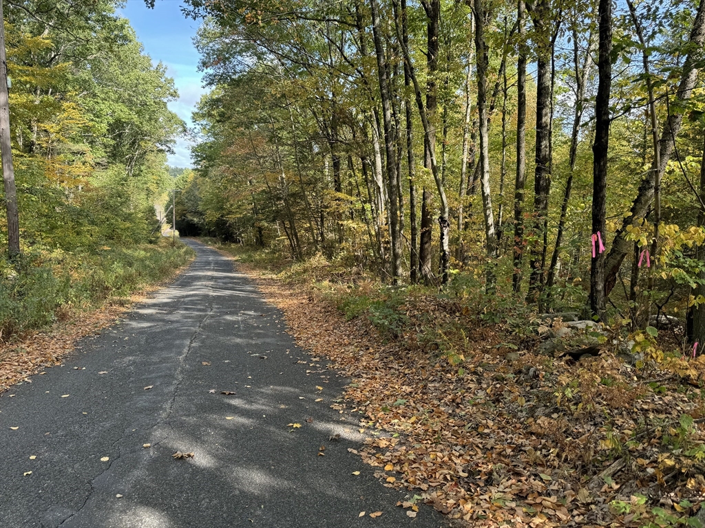 33 Ladd Road Sturbridge, MA 01566 - Photo 2 of 13 a pathway of a yard