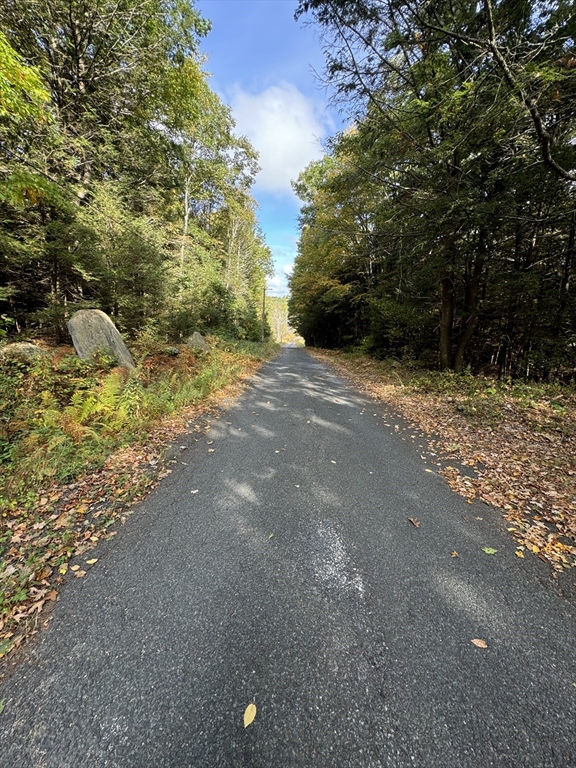 33 Ladd Road Sturbridge, MA 01566 - Photo 3 of 13 a view of a yard with plants and trees