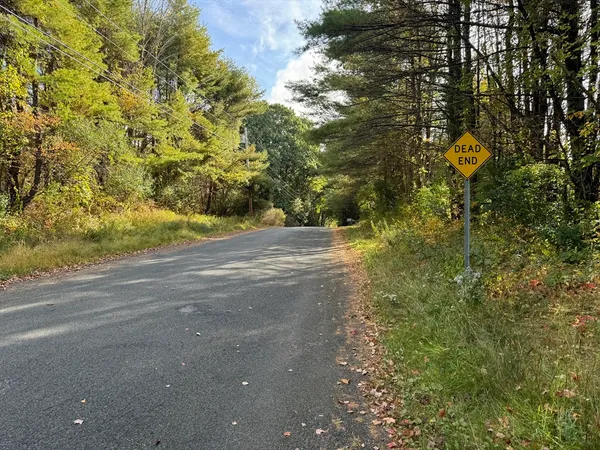 a view of a yard with plants and trees