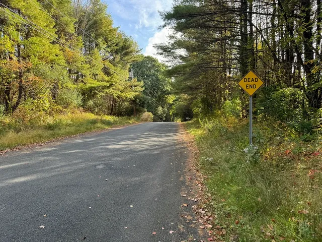 a view of a yard with plants and trees