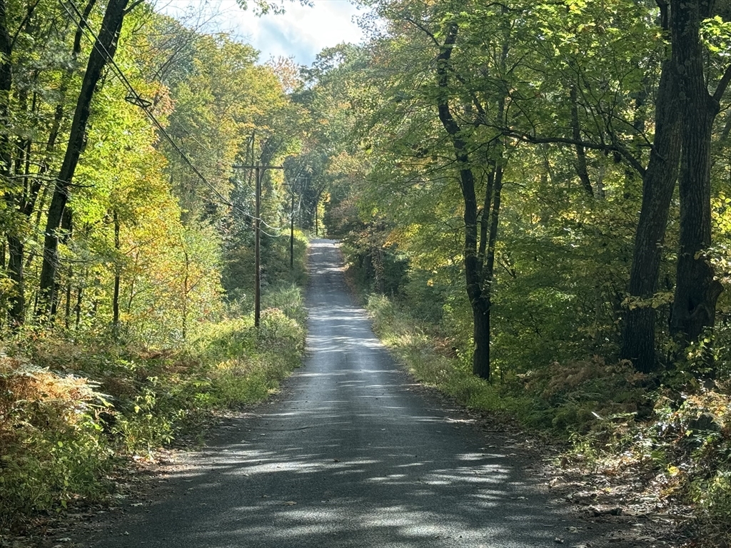 33 Ladd Road Sturbridge, MA 01566 - Photo 6 of 13 a view of a lake view with houses