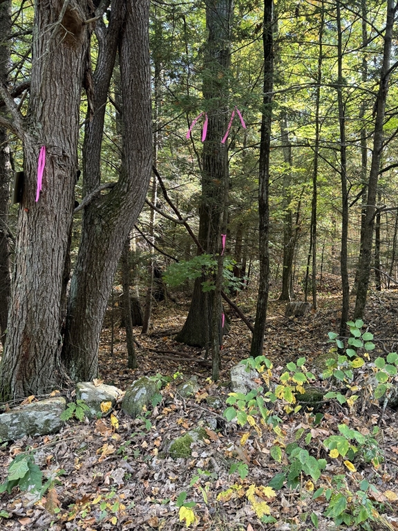 33 Ladd Road Sturbridge, MA 01566 - Photo 8 of 13 a view of a pathway in a yard