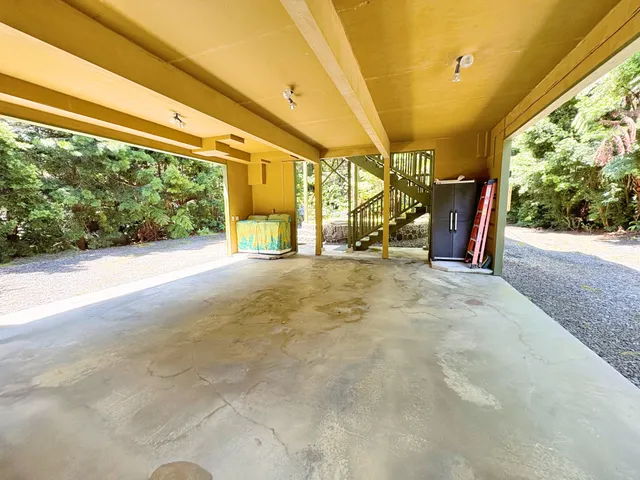 a bunch of flowers in a yard