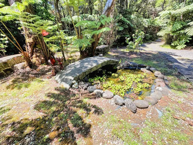 a view of a backyard with plants and large trees