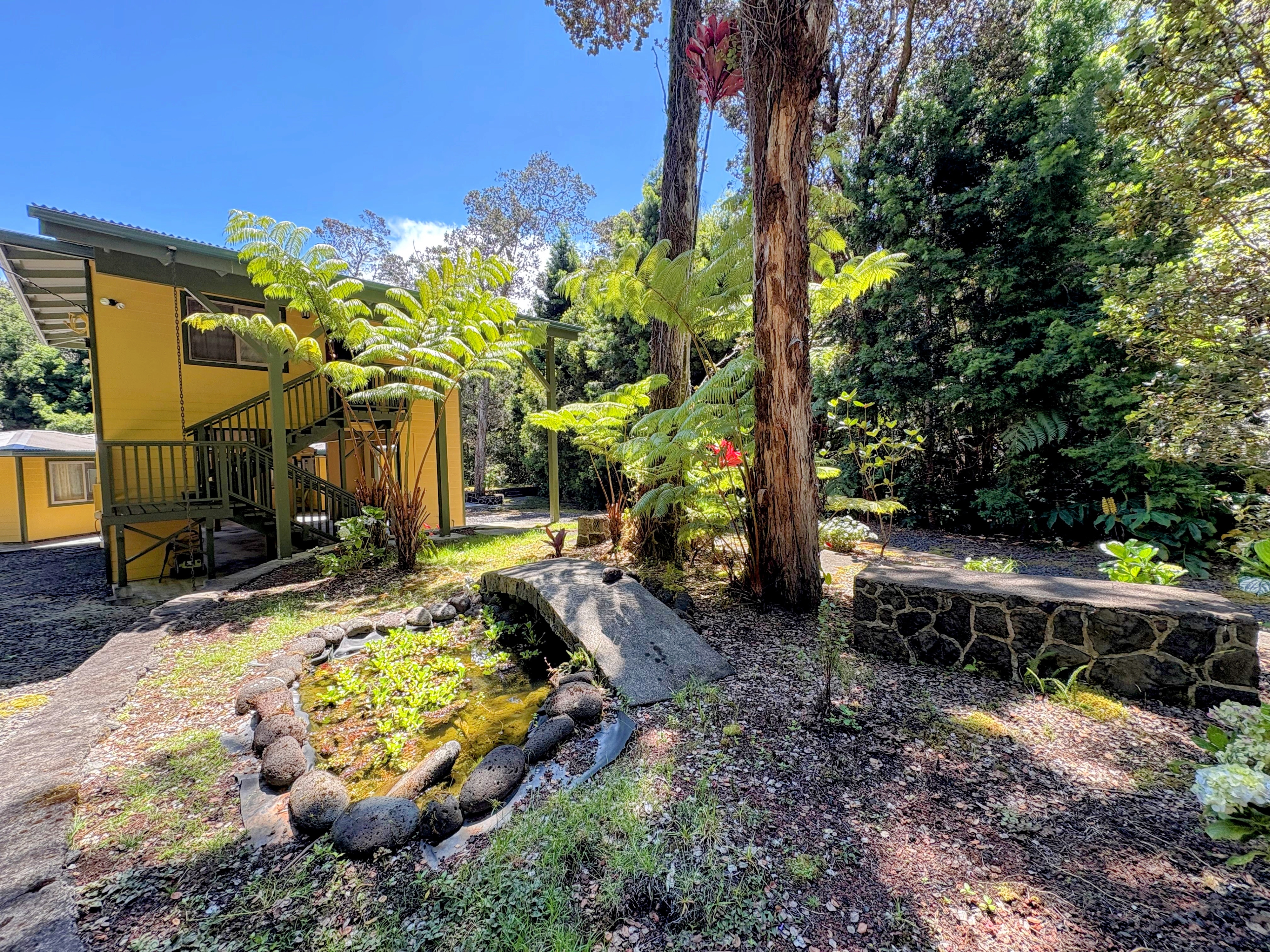 19-4218 Kawailehua Road Volcano, HI 96785 - Photo 25 of 30 a view of a backyard with plants and large trees