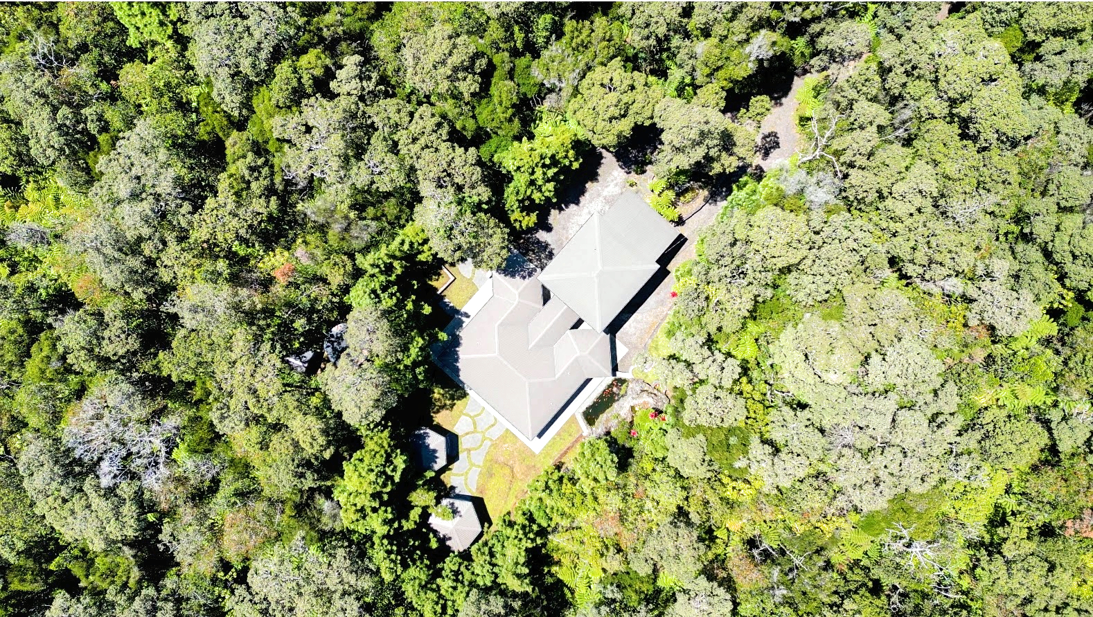 19-4218 Kawailehua Road Volcano, HI 96785 - Photo 29 of 30 a picture of a tree