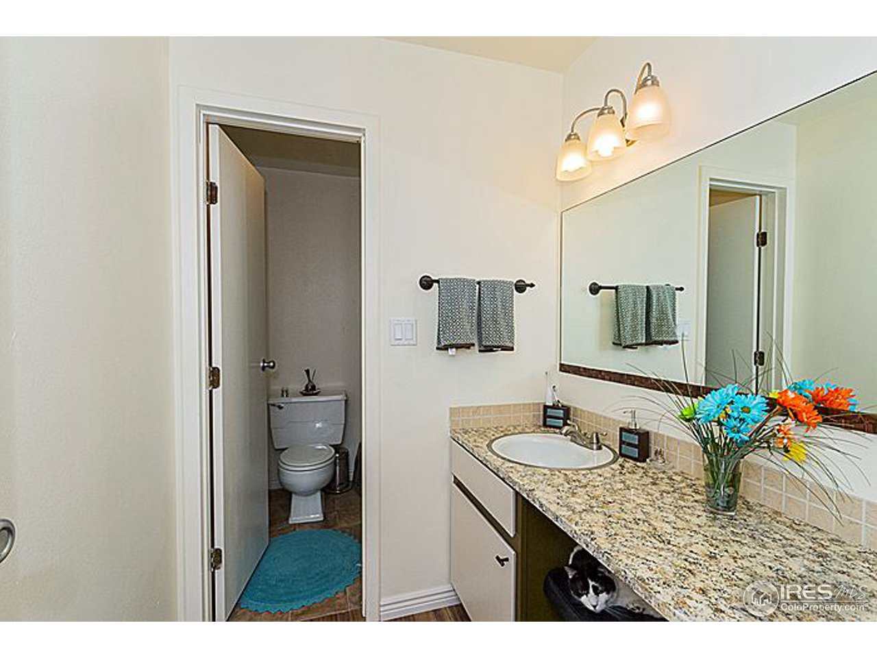 801 East Drake Road, Unit 83 Fort Collins, CO 80525 - Photo 13 of 21 a bathroom with a granite countertop sink a toilet and mirror