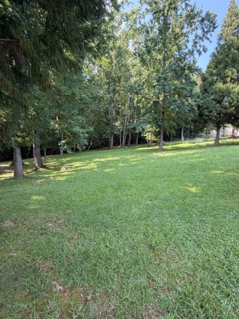 539 Wind Crest Drive Inman, SC 29349 - Photo 19 of 23 Gallery Image 19